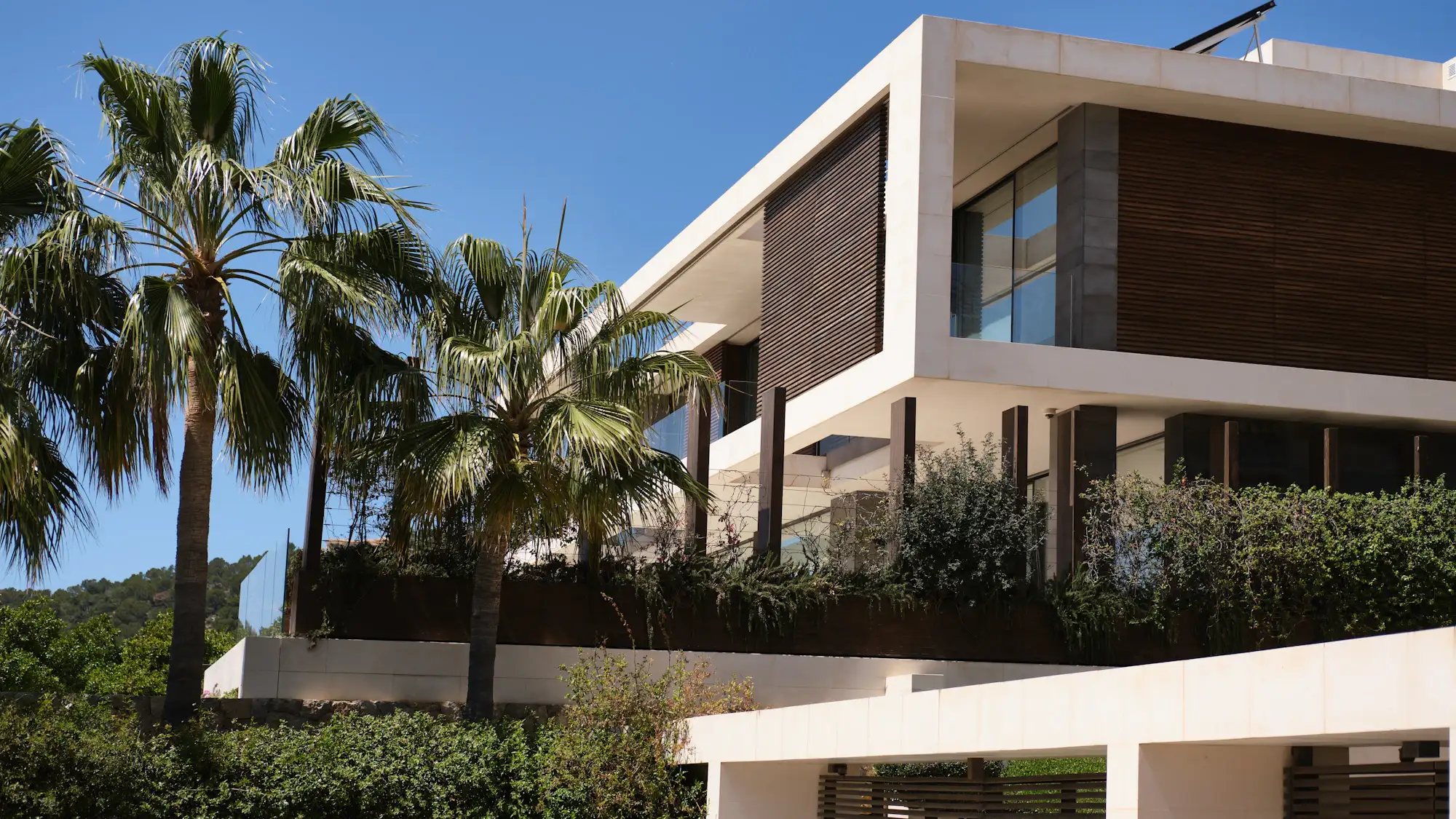Villa contemporaine entourée de palmiers