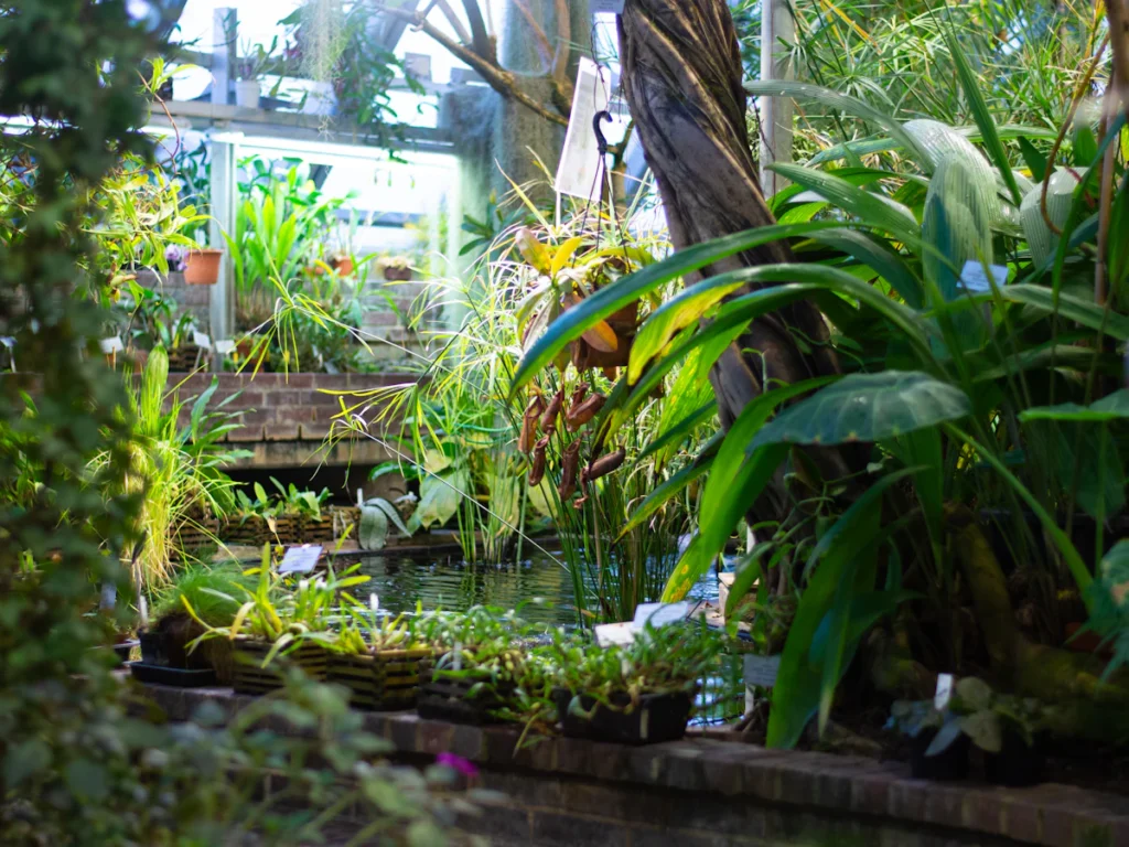 Jardin luxuriant