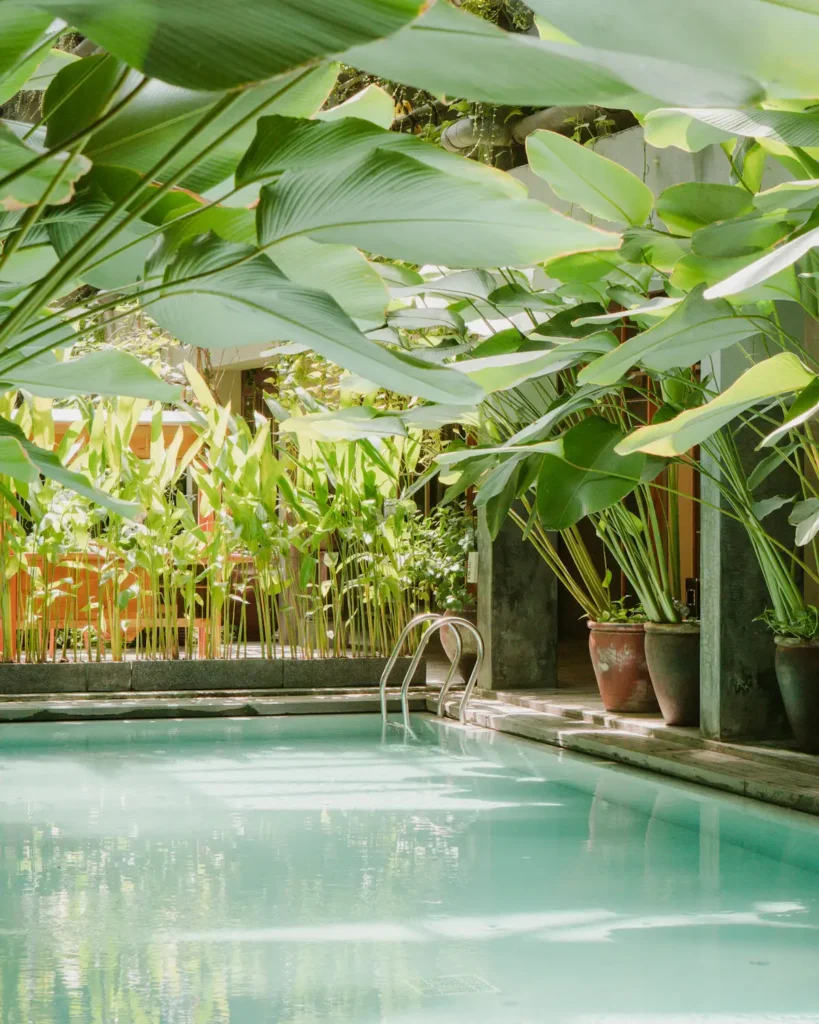 Piscine bordée d’un jardin tropical
